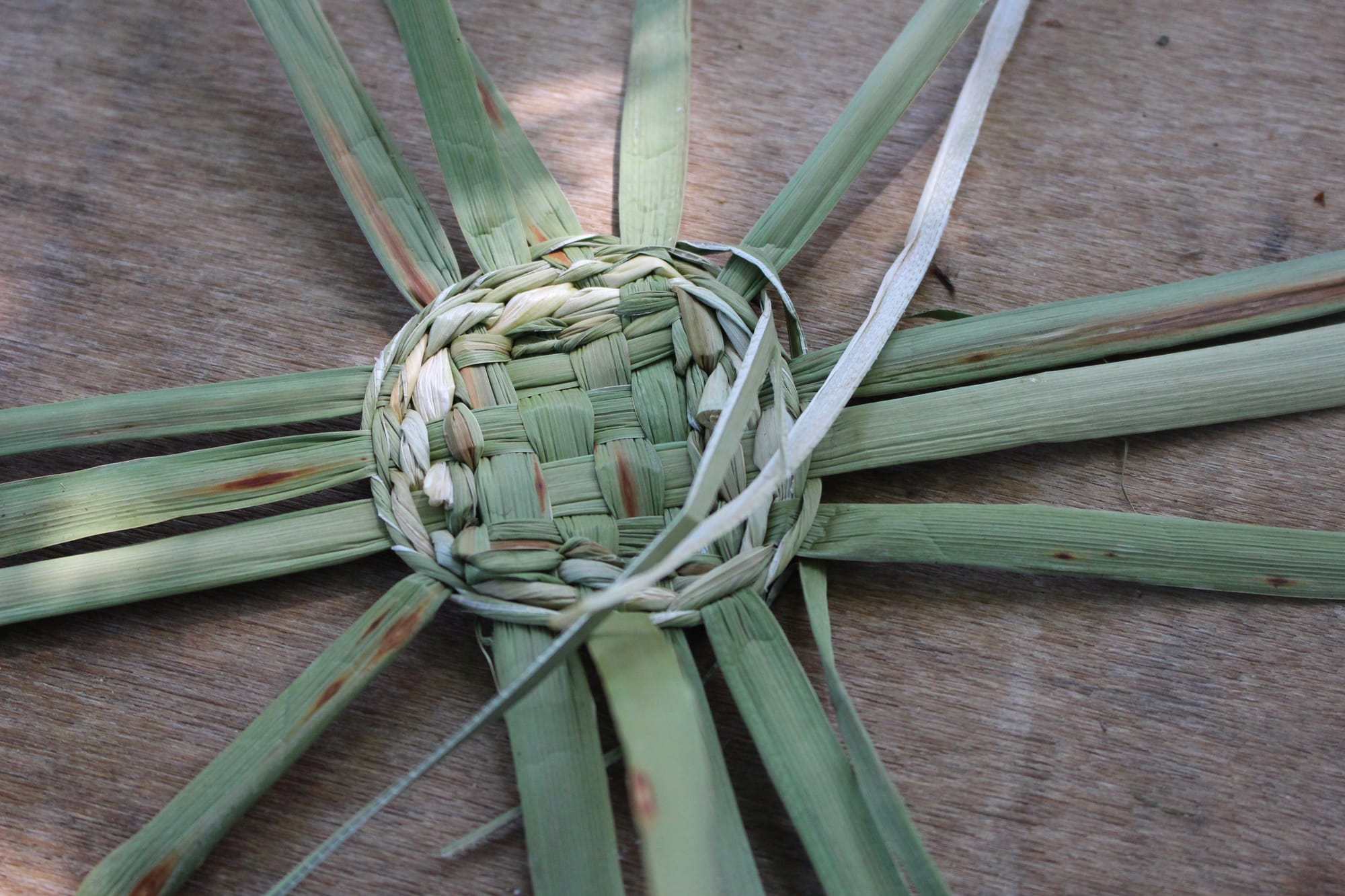 Billede fra BASKET WEAVING