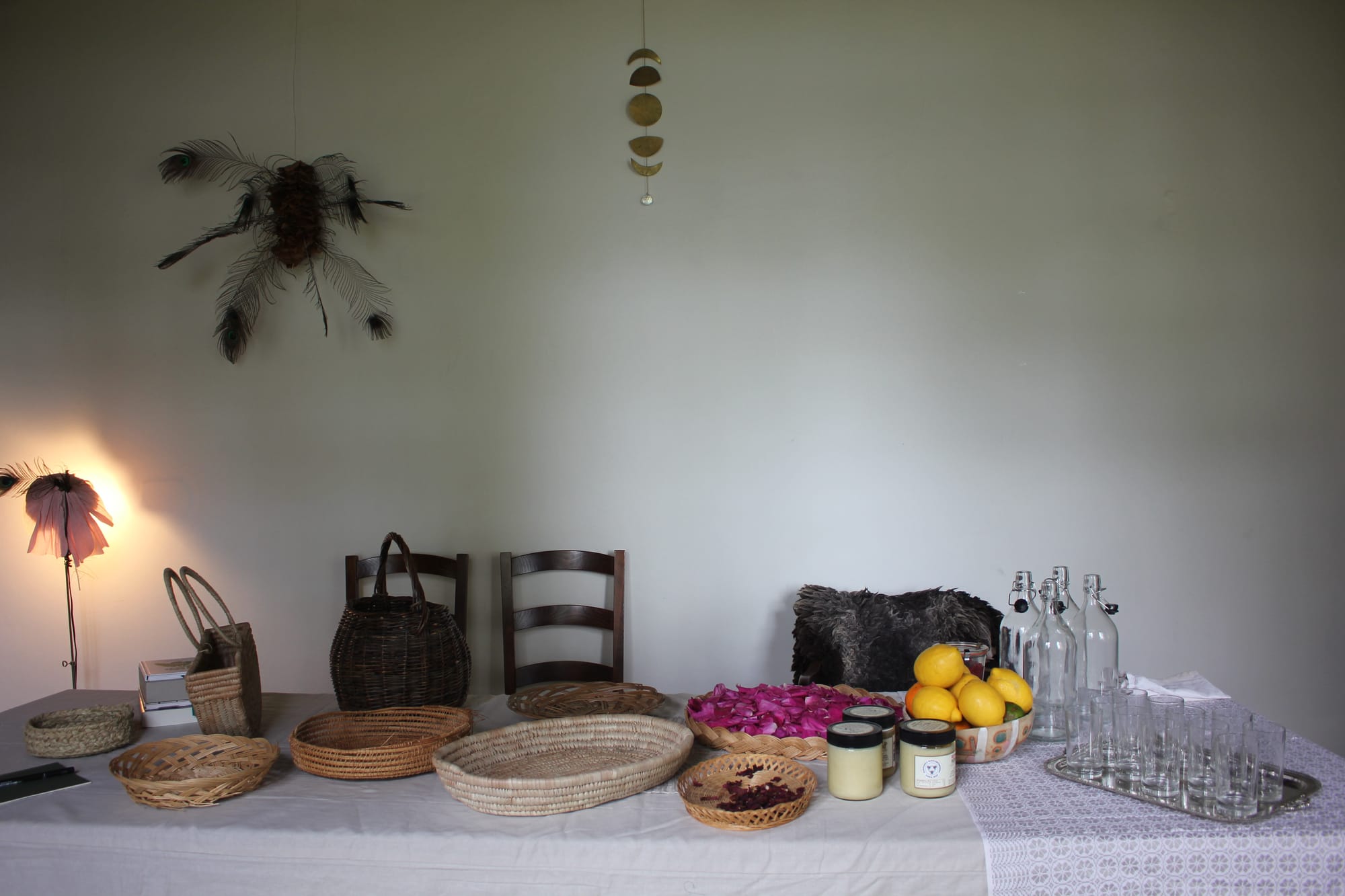 Billede fra VILD FERMENTERING