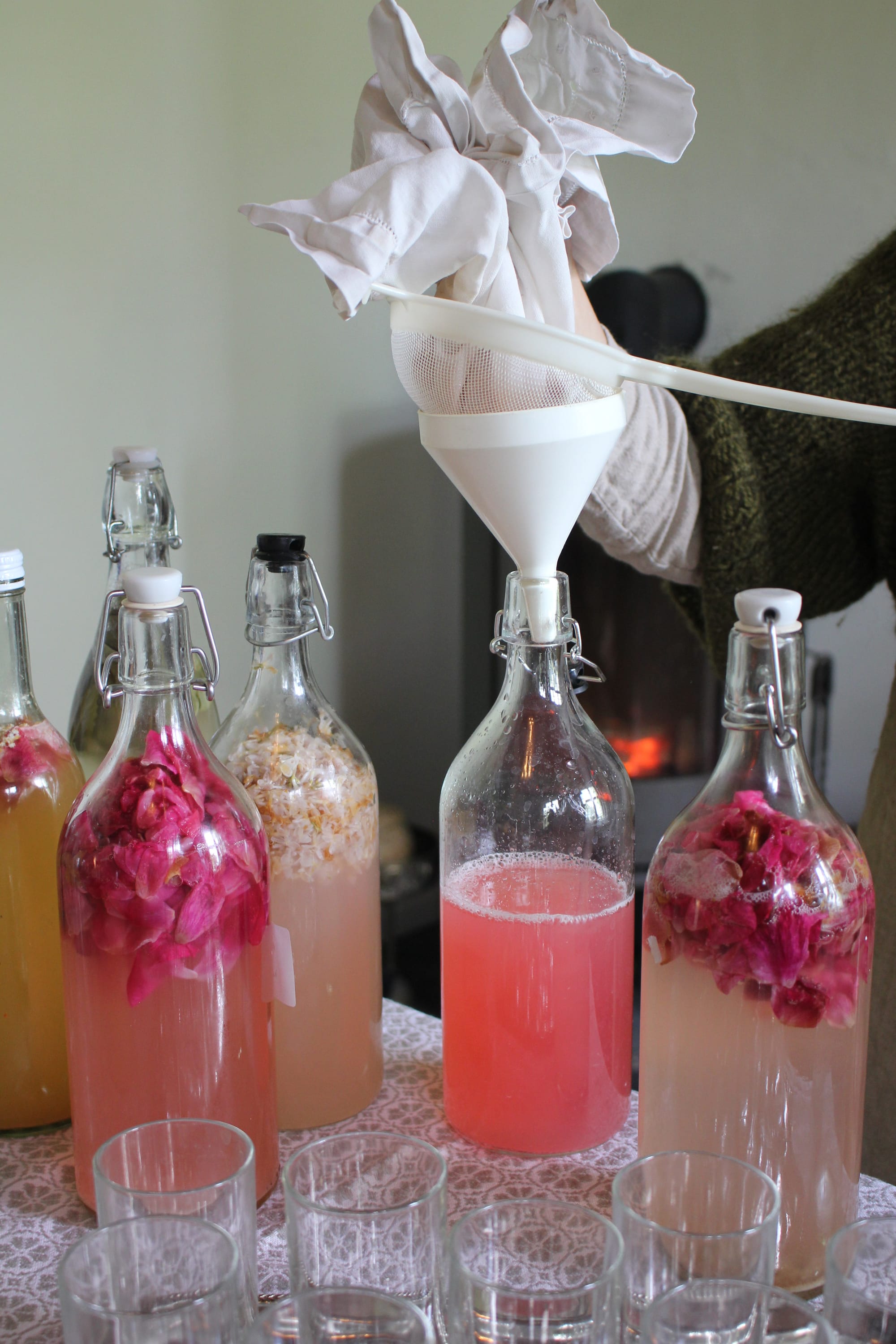 Billede fra VILD FERMENTERING
