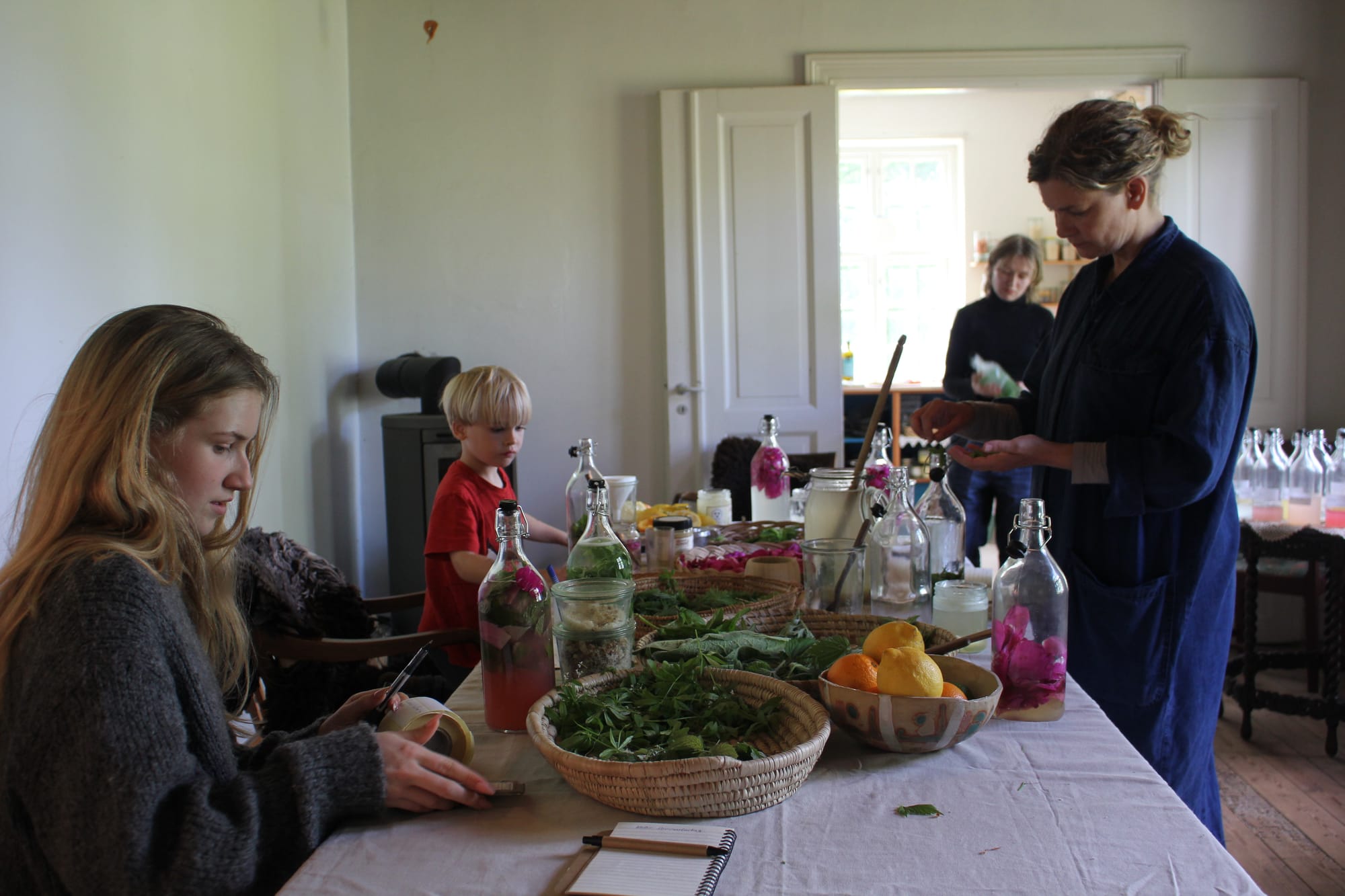 Billede fra VILD FERMENTERING