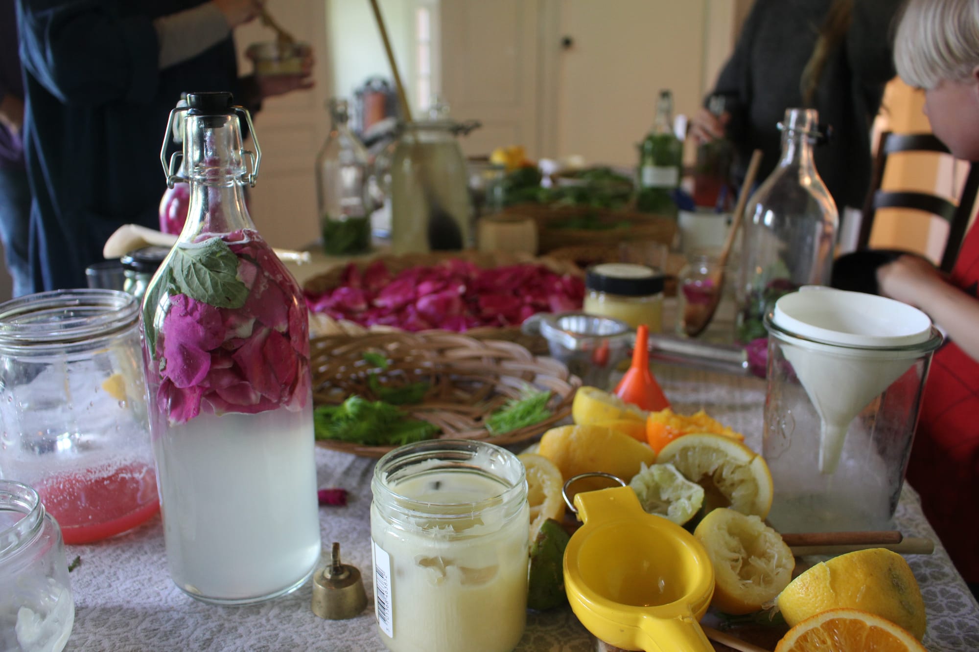 Billede fra VILD FERMENTERING