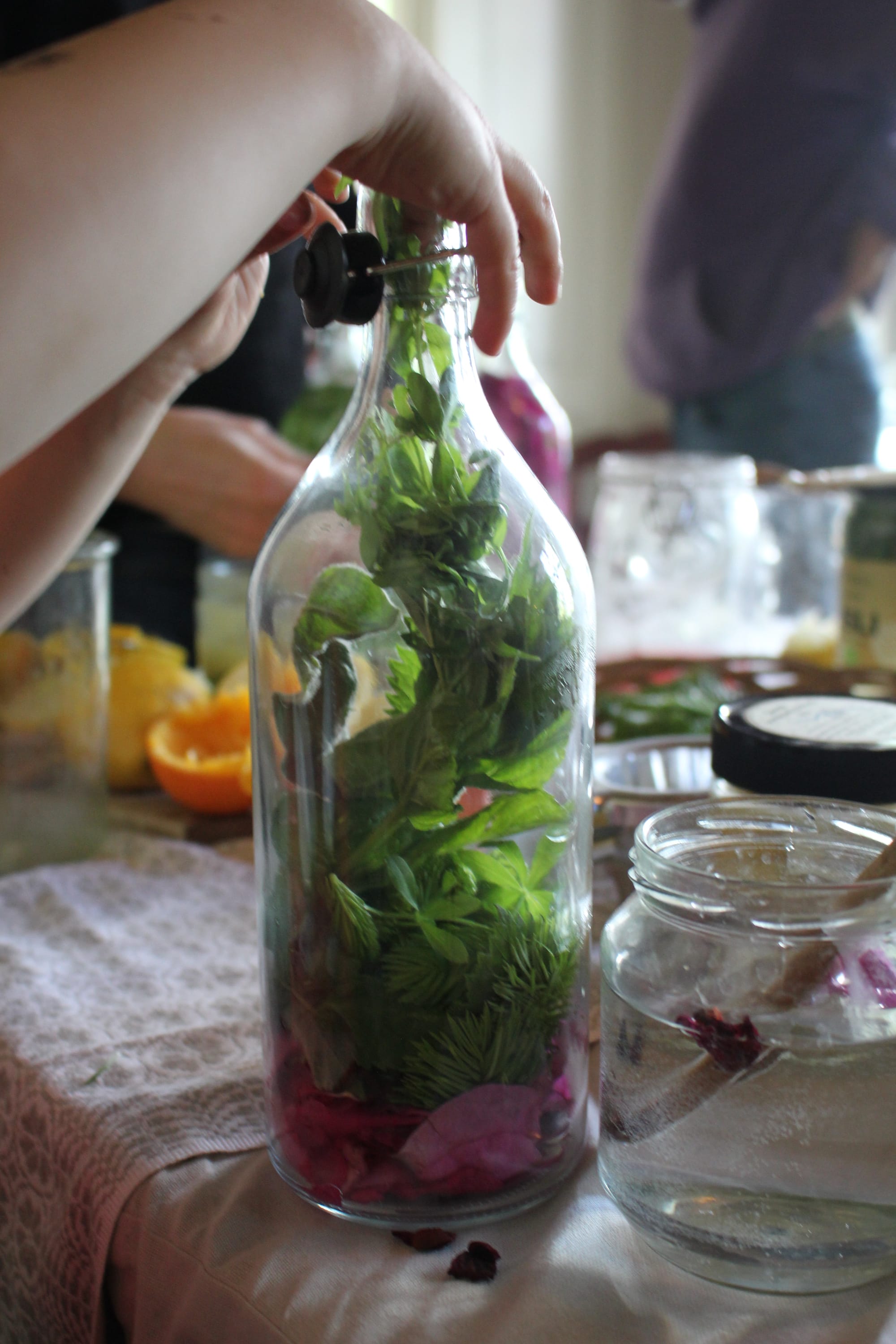 Billede fra VILD FERMENTERING