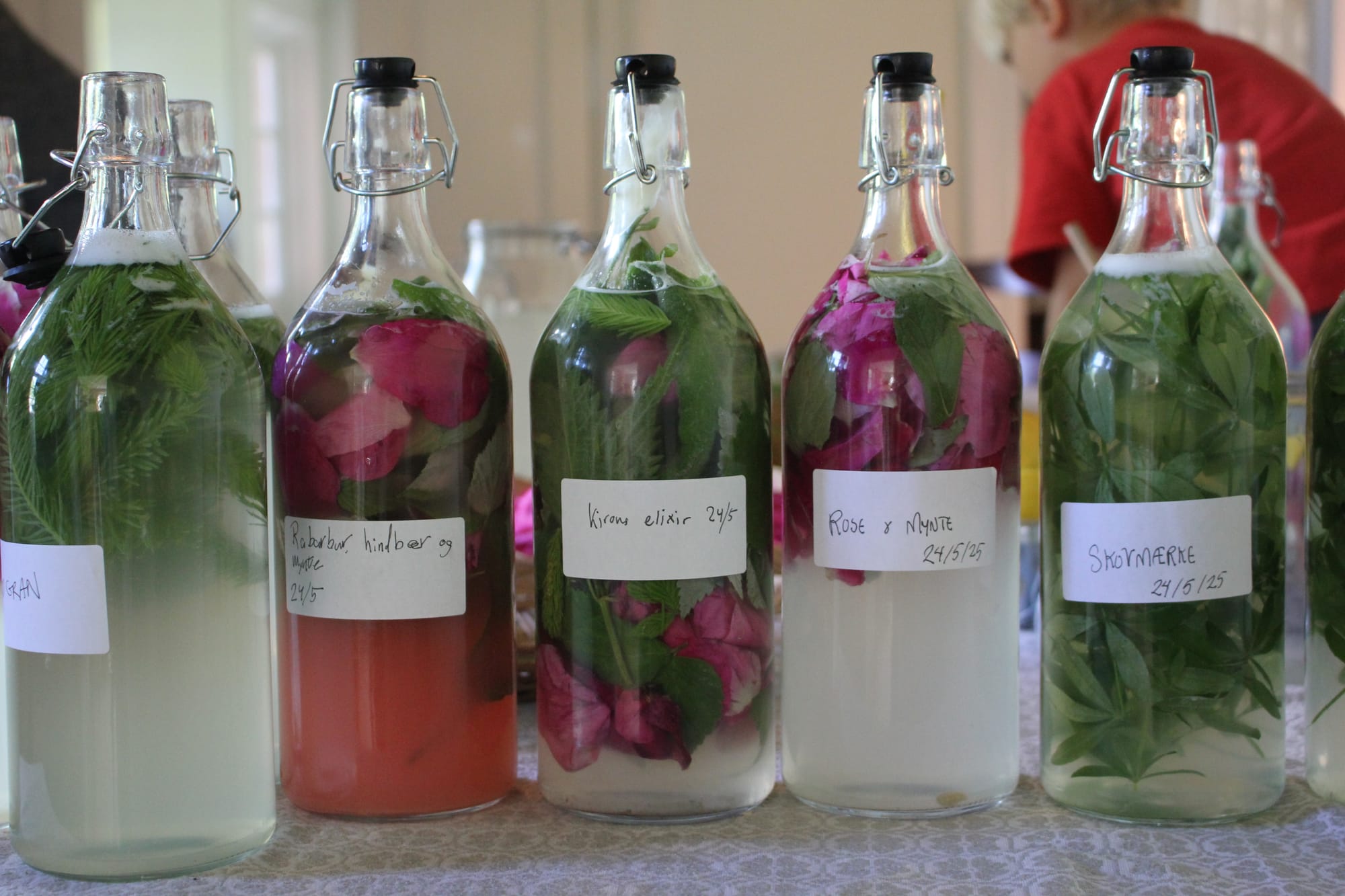 VILD FERMENTERING