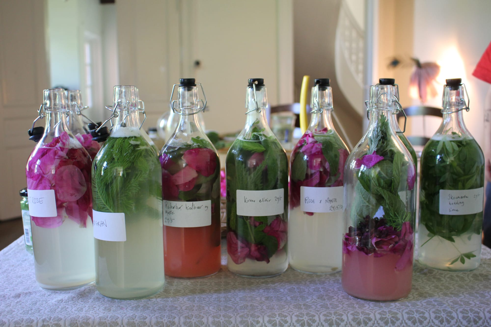 Billede fra VILD FERMENTERING