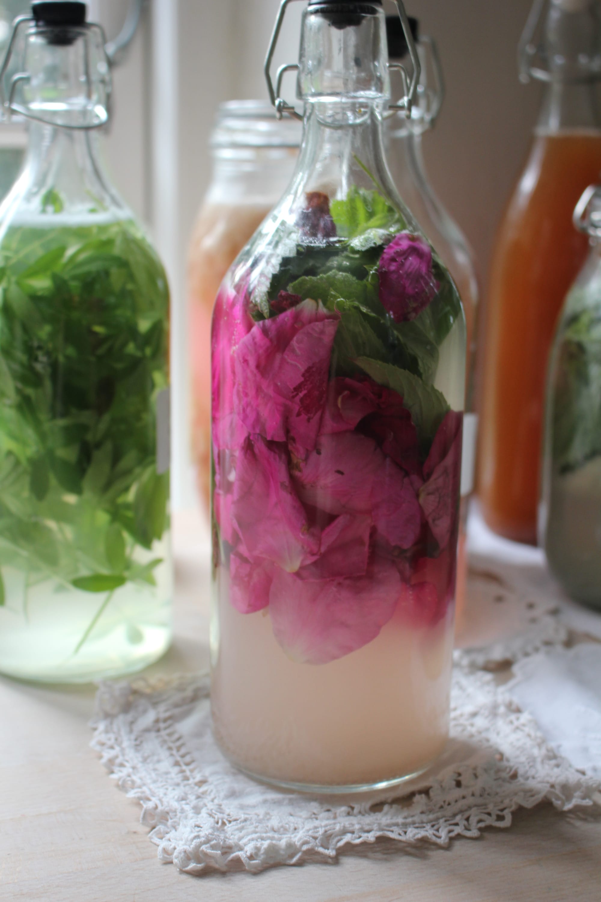 Billede fra VILD FERMENTERING