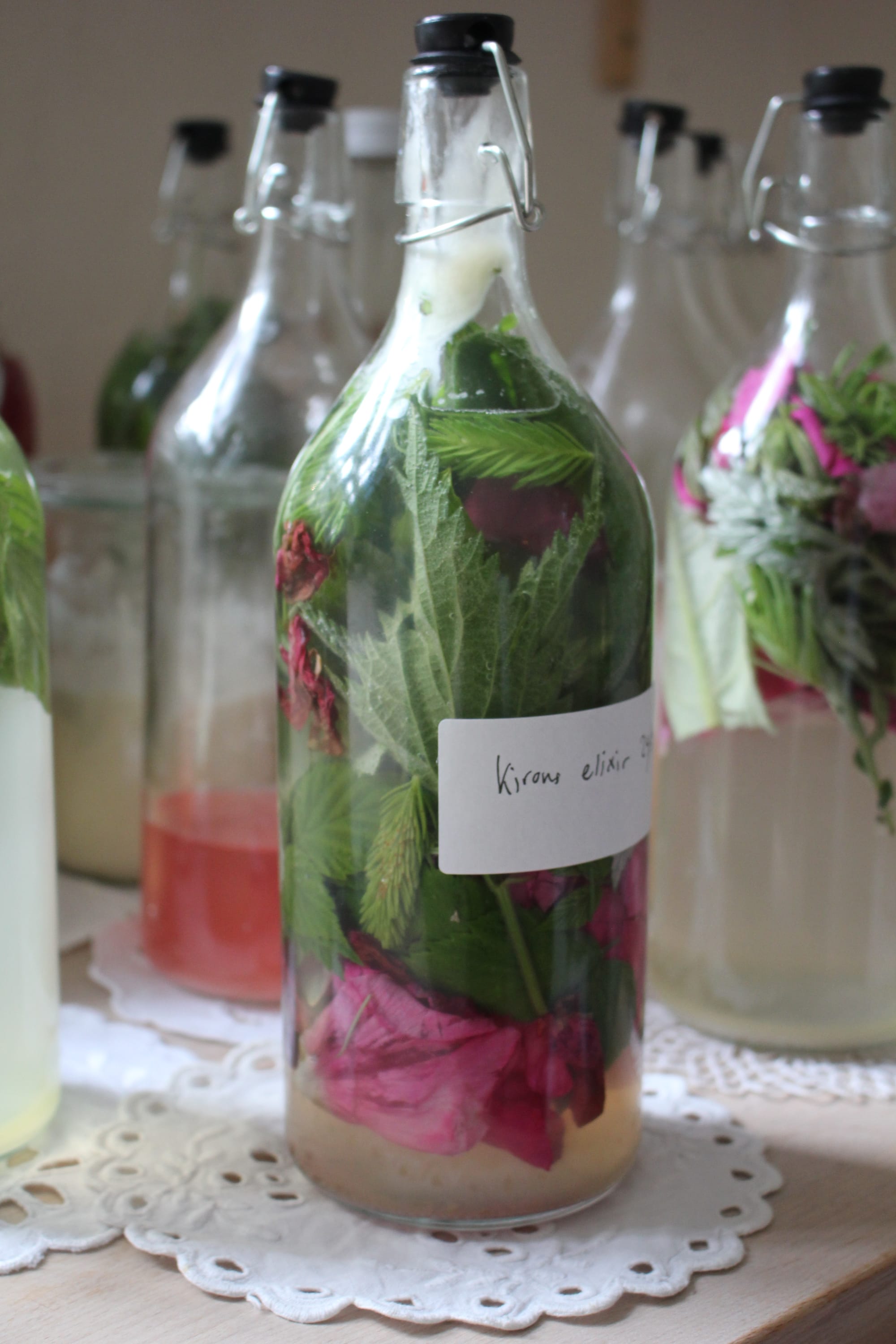 Billede fra VILD FERMENTERING