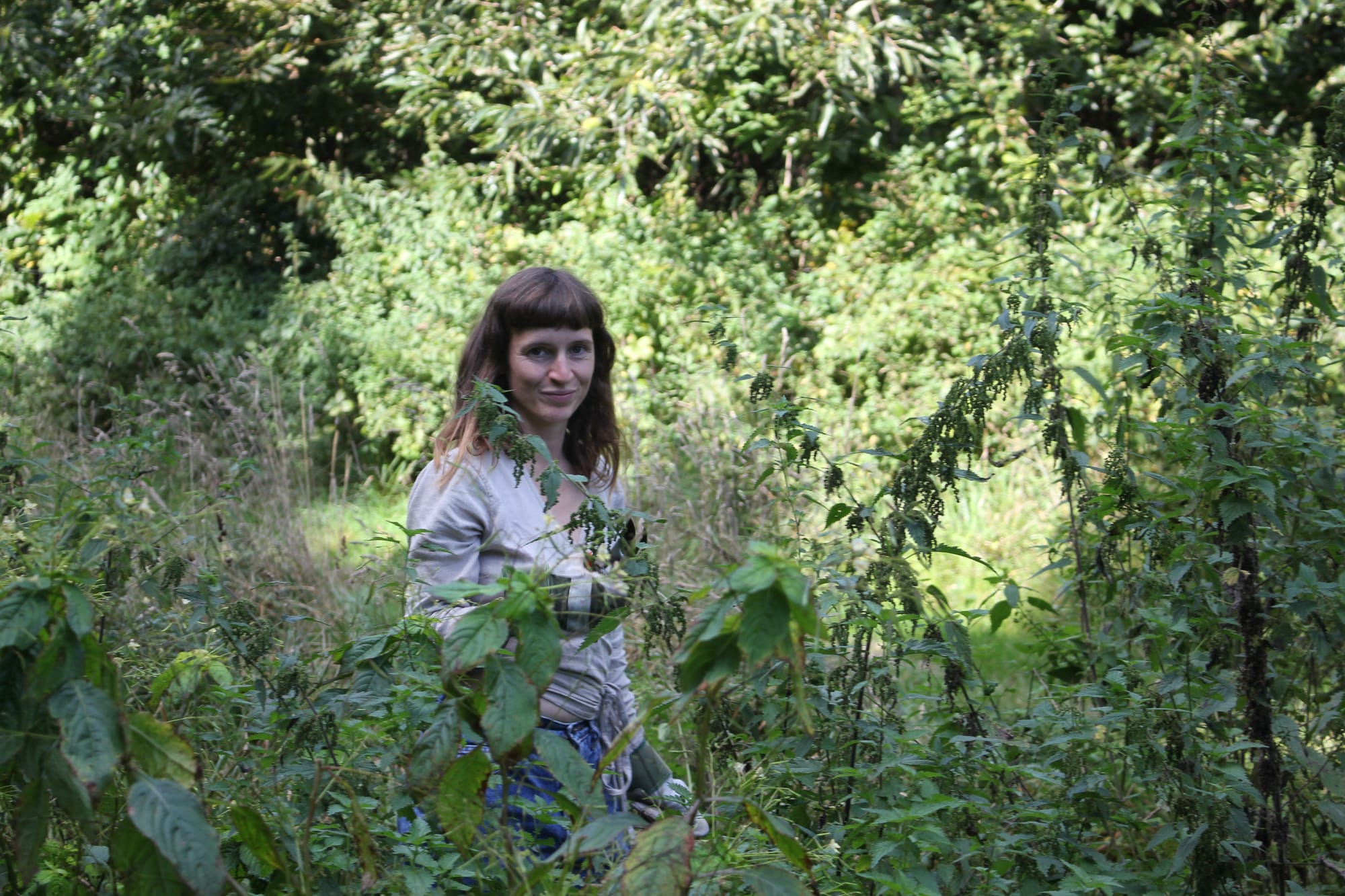 Billede fra NETTLE FIBRE
