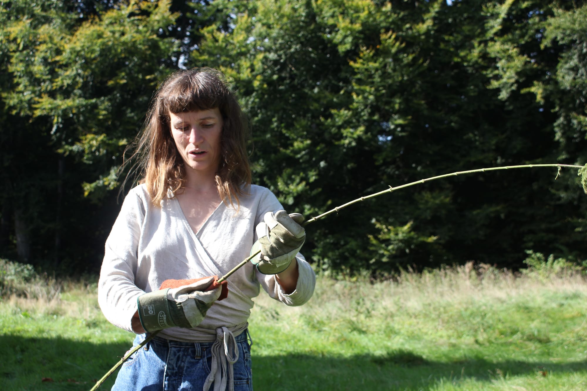 NETTLE FIBRE