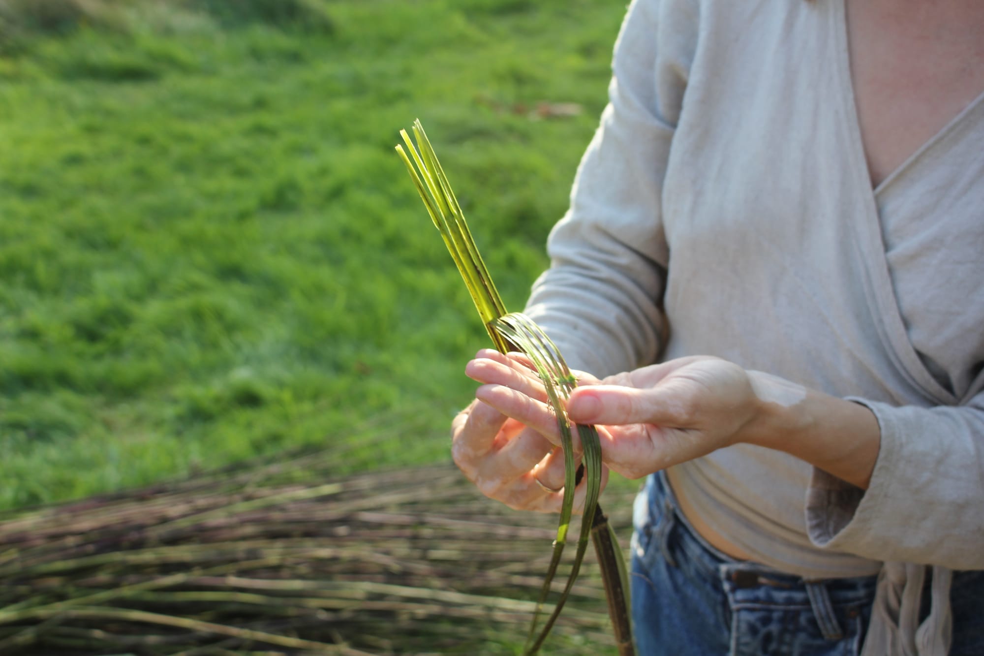 Billede fra NETTLE FIBRE
