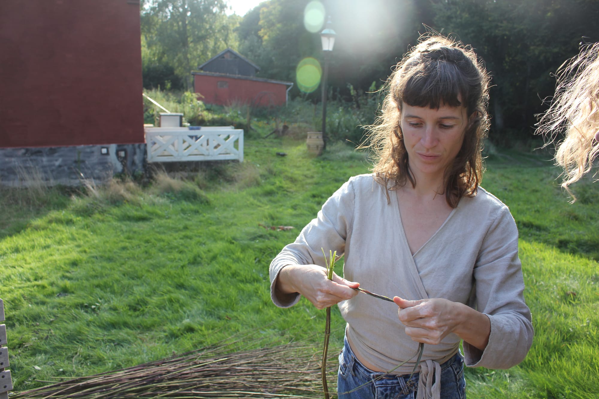 Billede fra NETTLE FIBRE