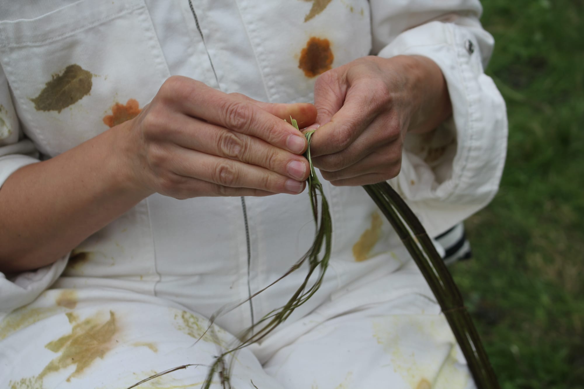 Billede fra NETTLE FIBRE