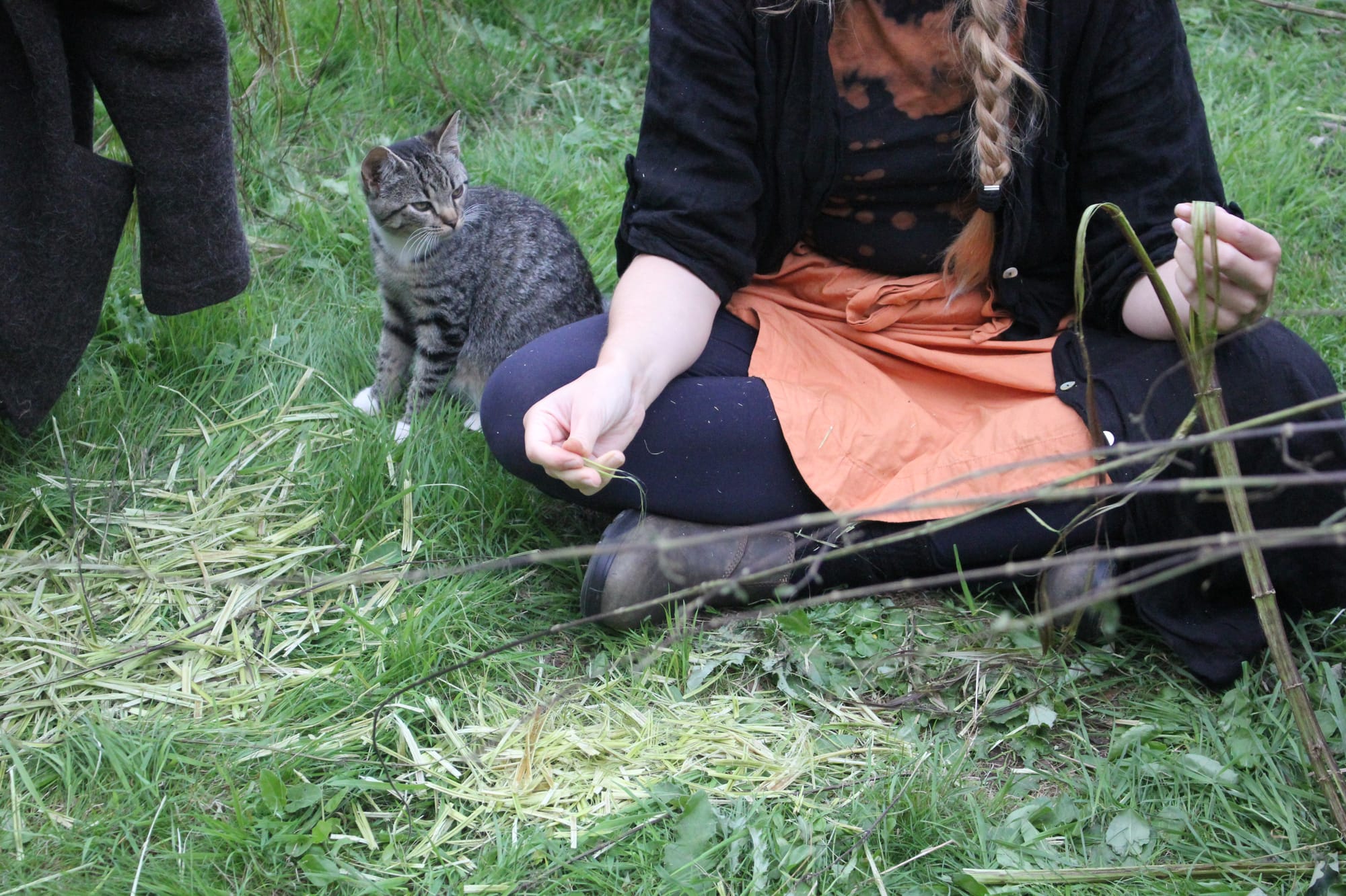 Billede fra NETTLE FIBRE