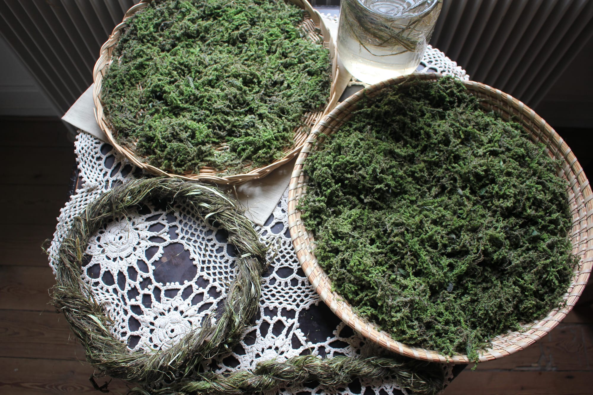 Billede fra NETTLE FIBRE