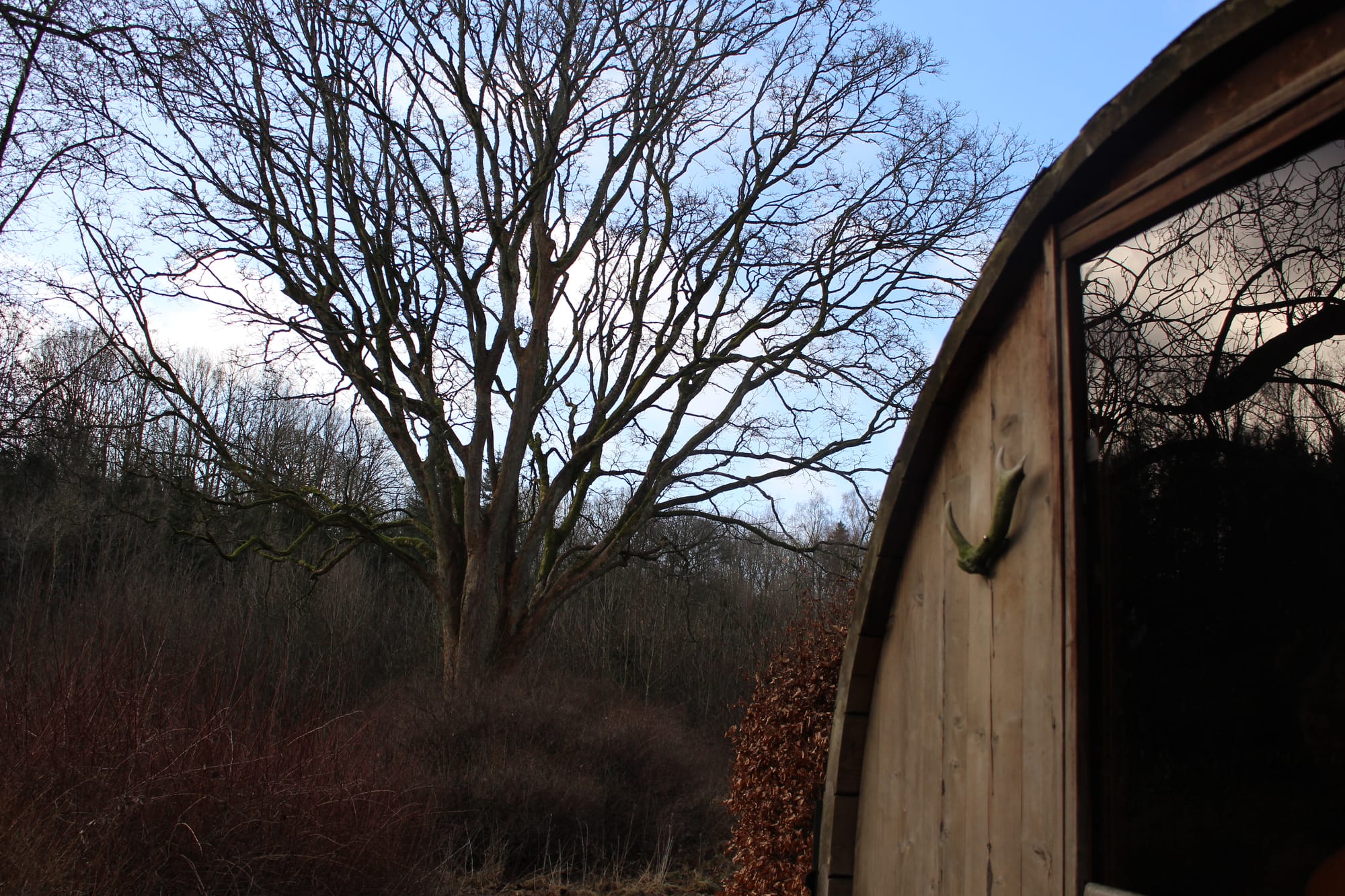 Billede fra SKOV SAUNA SKARRESØ